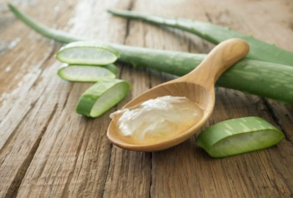 TIPS SALUDABLES:   BENEFICIOS DE LAS PLANTAS